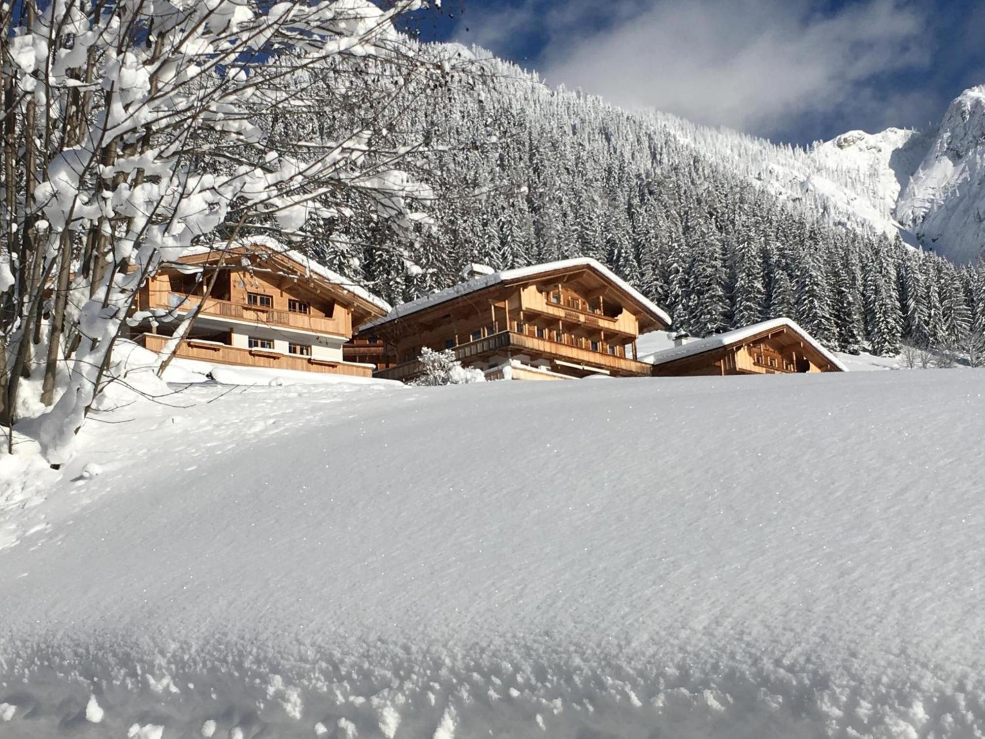 Haus Fernwald Top Nynke Alpbach Exterior foto